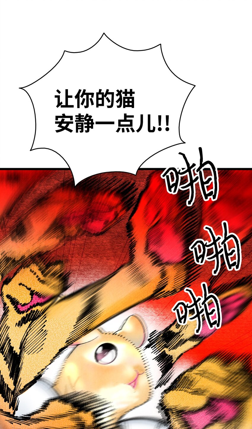 11 房东来访65