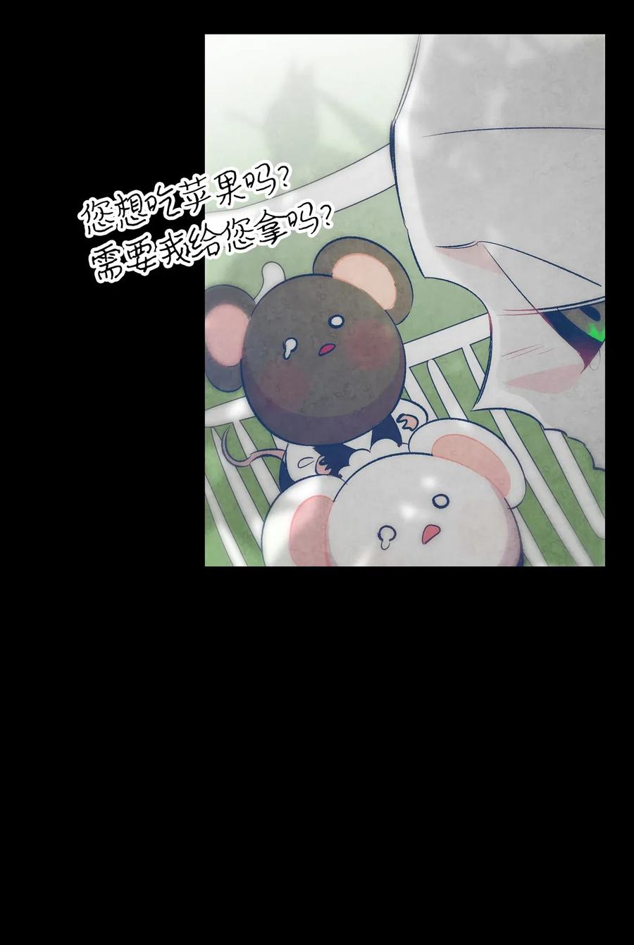 38 探病44