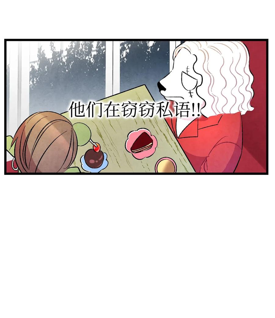 25 黑色的毛9