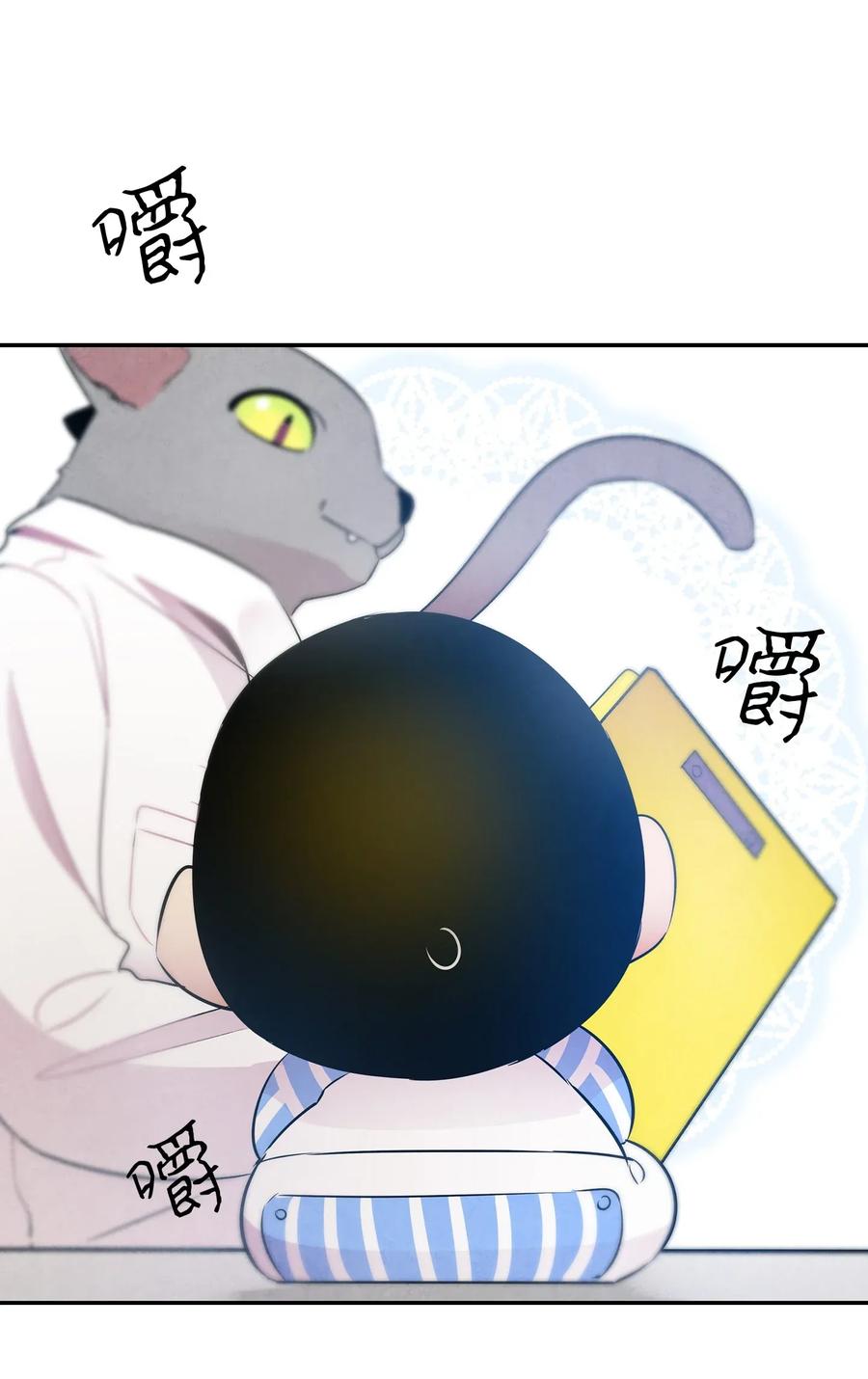 28 真正的家49