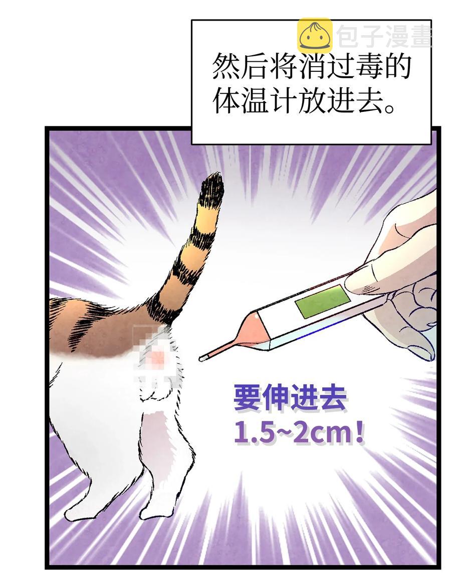 22 蝴蝶病了26