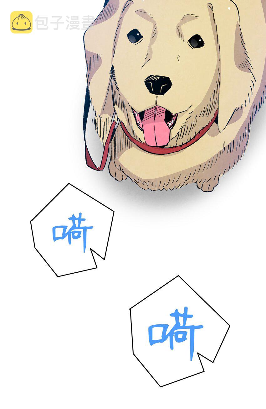 116 遛狗26