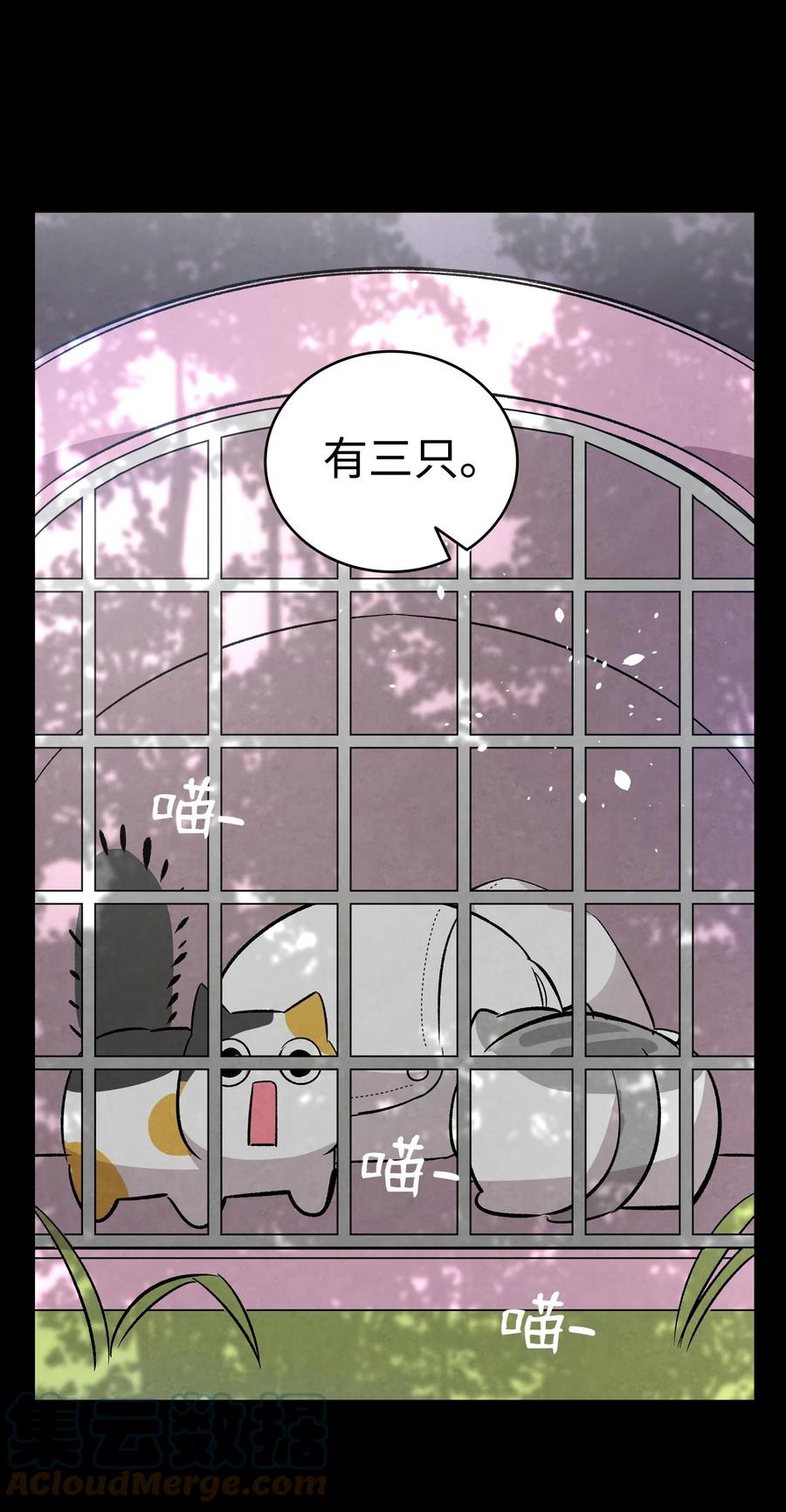 97 她不是猪63