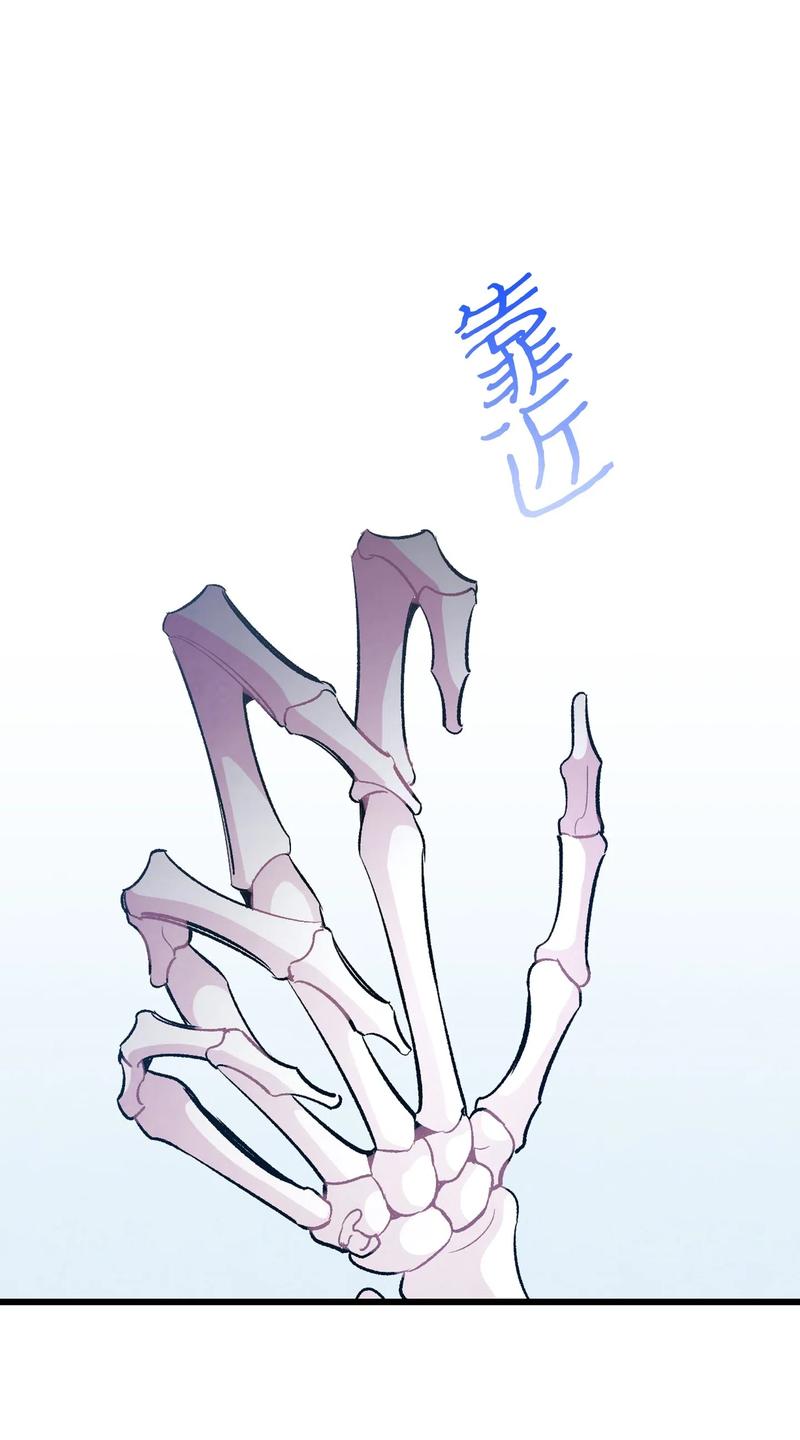 34 就是这个动物19