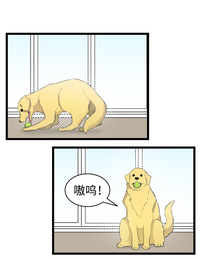 156 最后的嘱托55