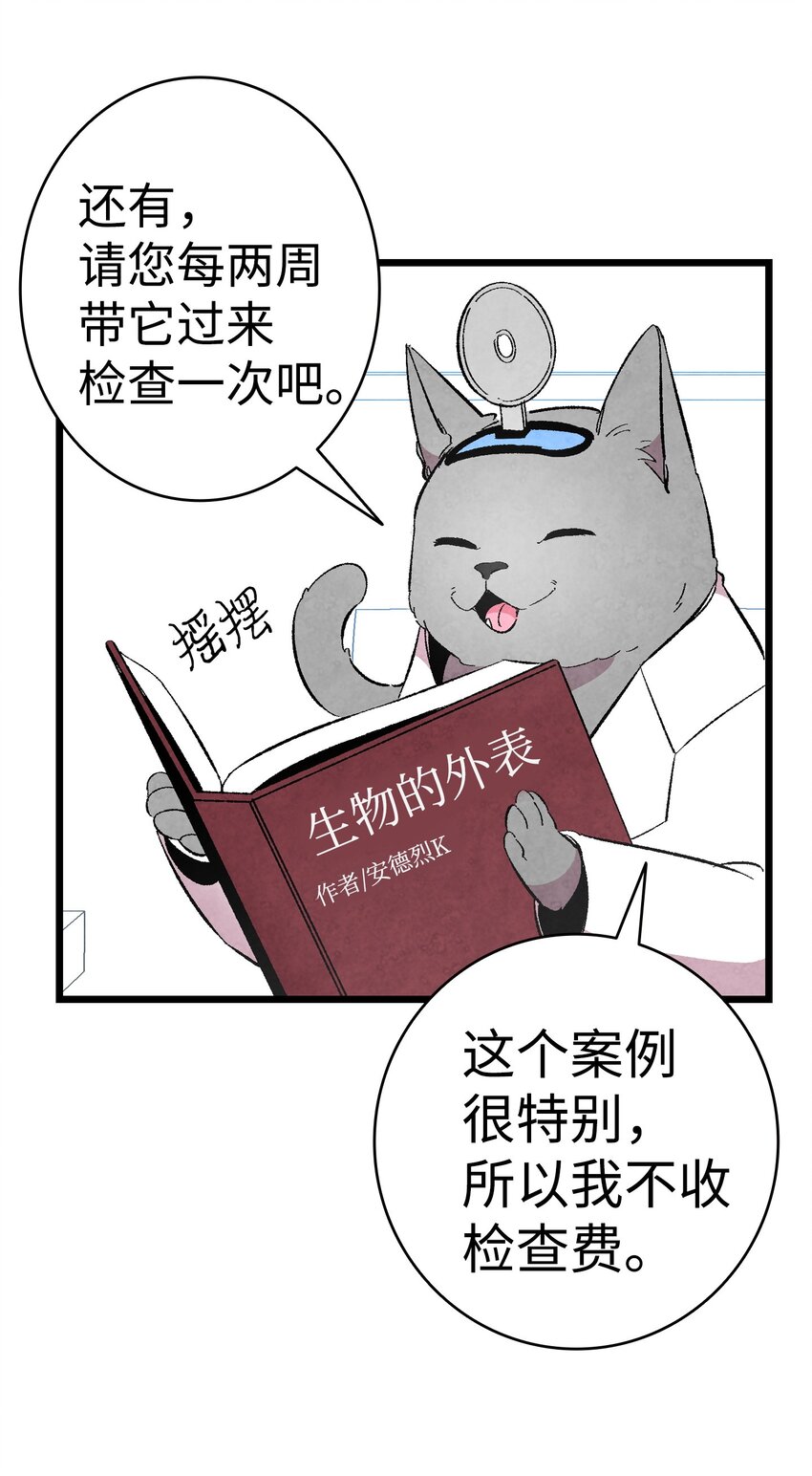 06 蝴蝶311
