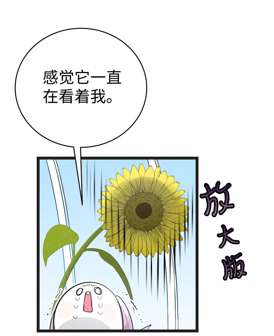 91 逛花园58
