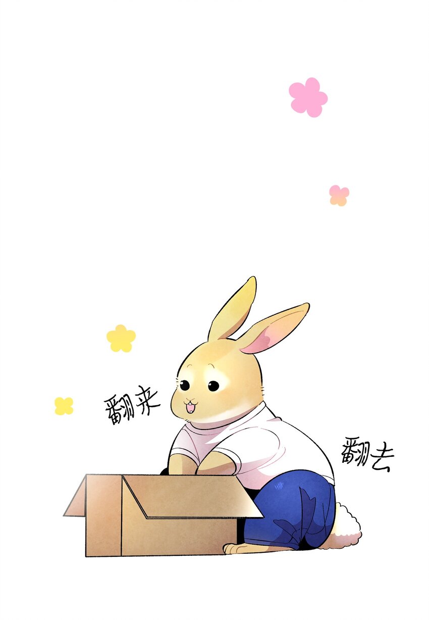 14 甲方乙方12