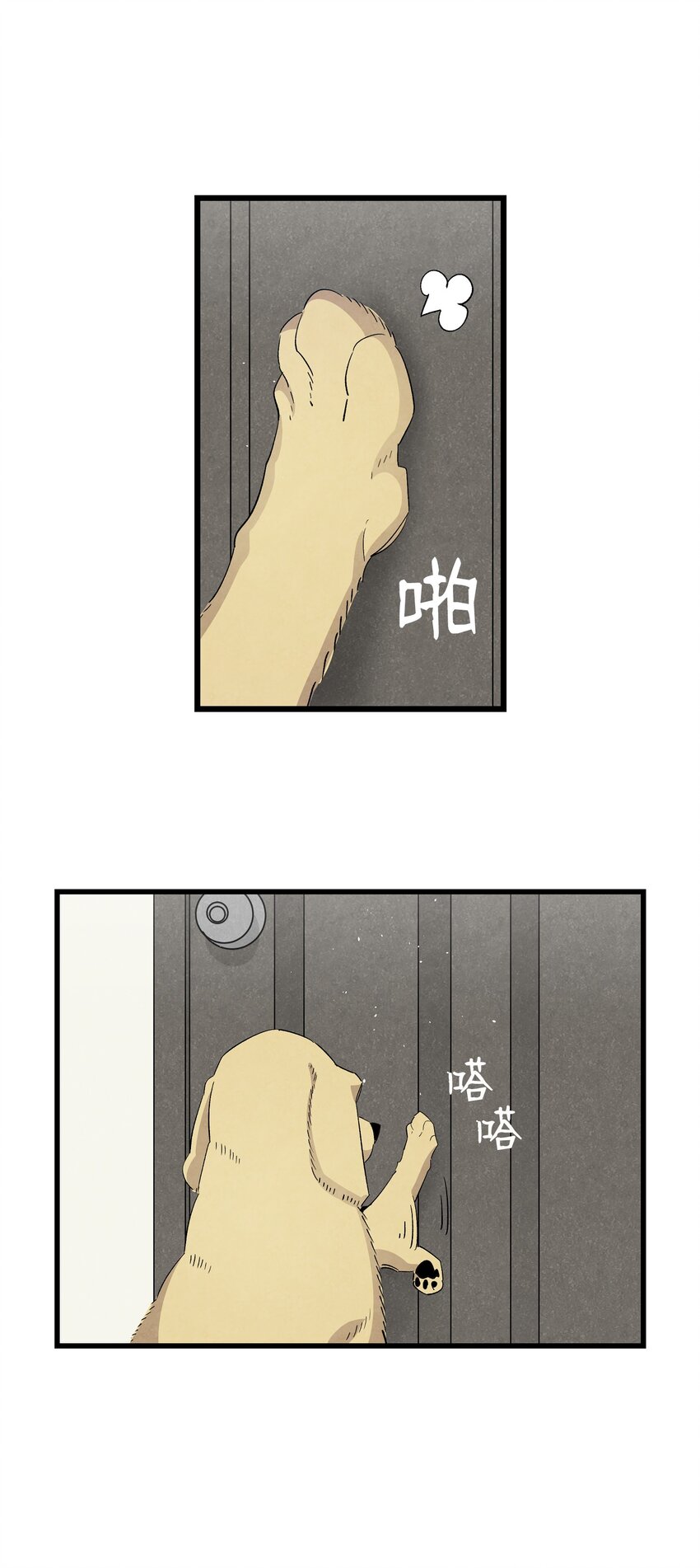116 遛狗6