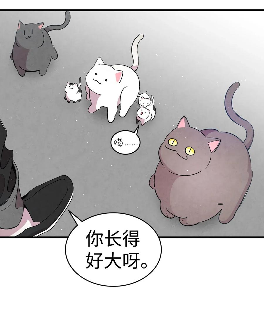 65 被盯上了53