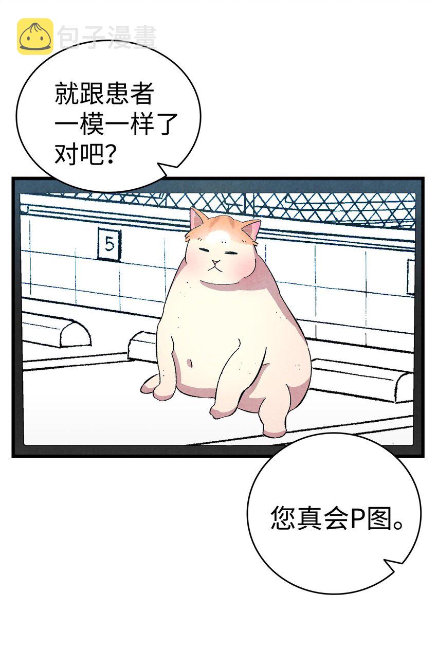 06 蝴蝶36