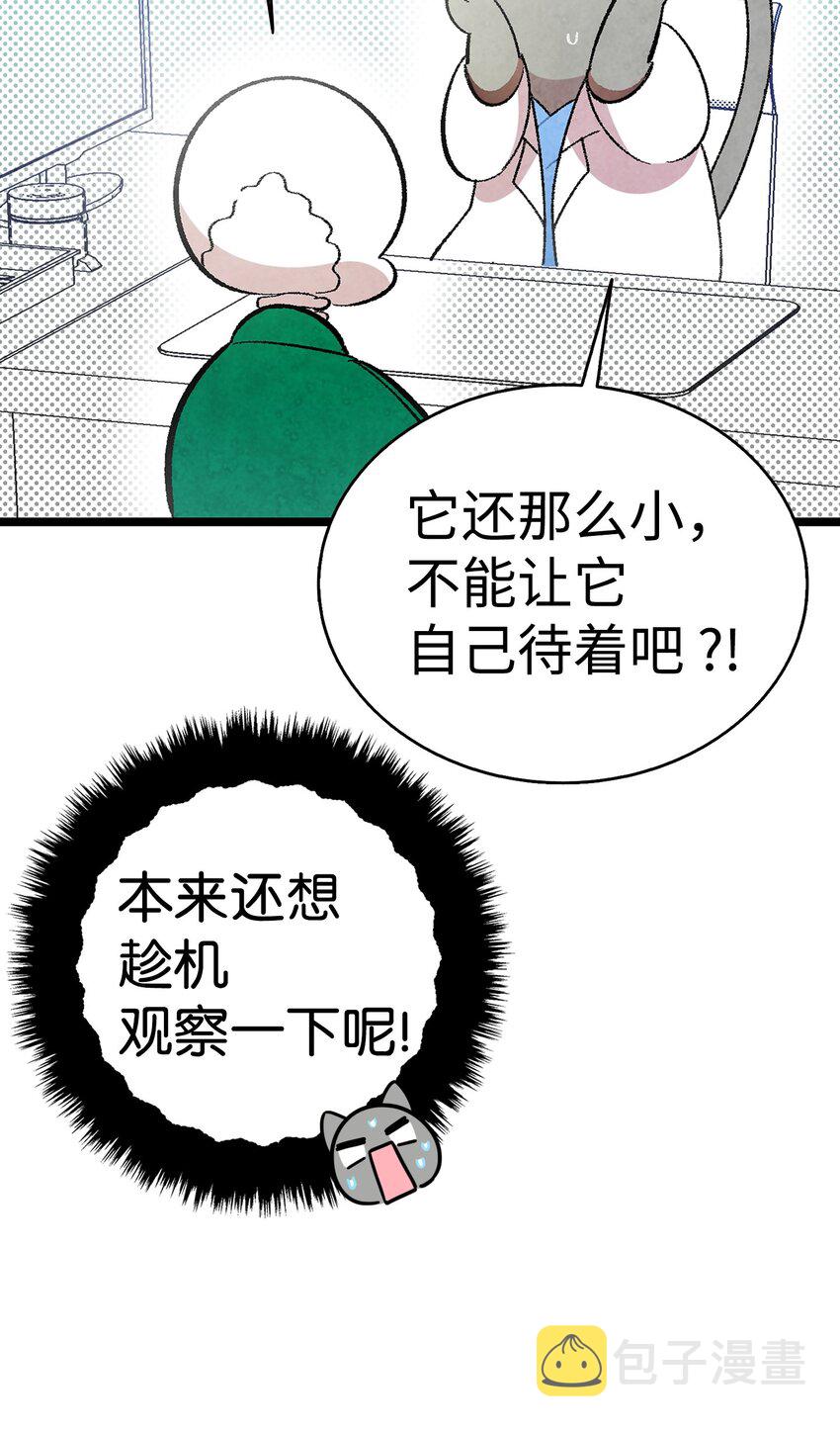 08 连衣裙46