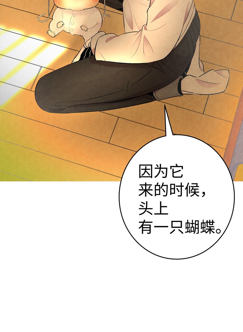 06 蝴蝶339