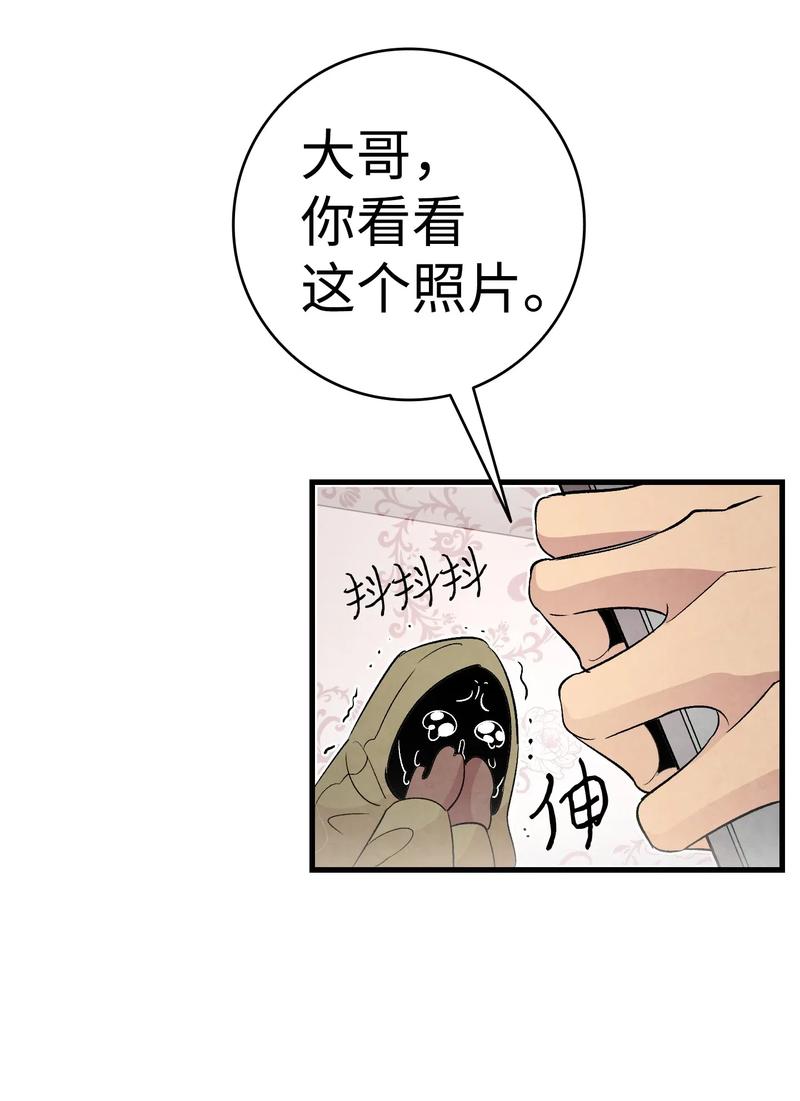 34 就是这个动物64