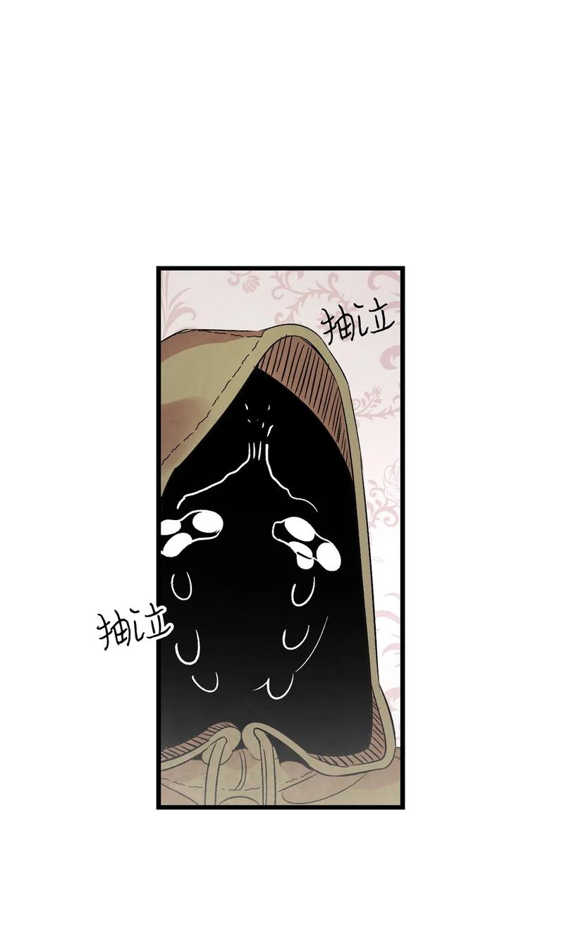 34 就是这个动物65
