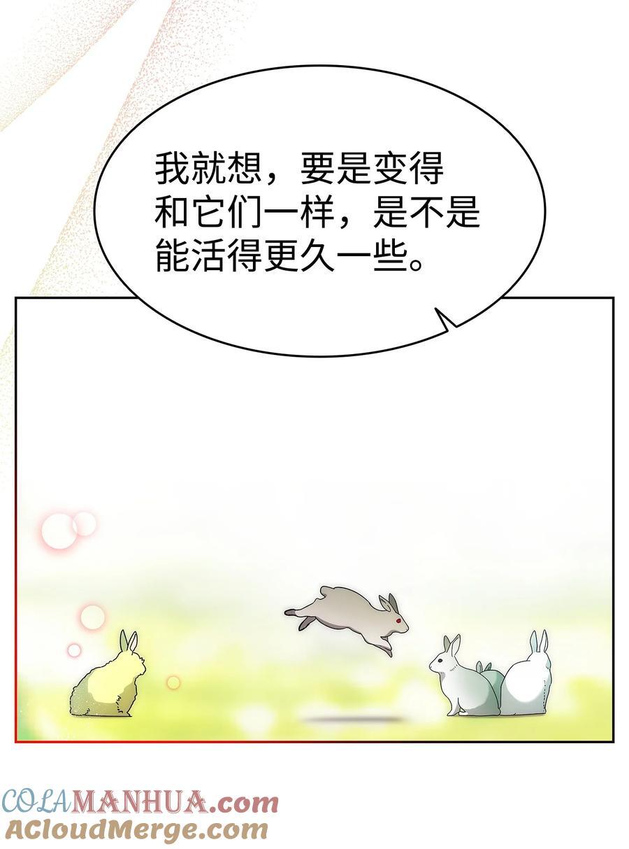 206 复活84