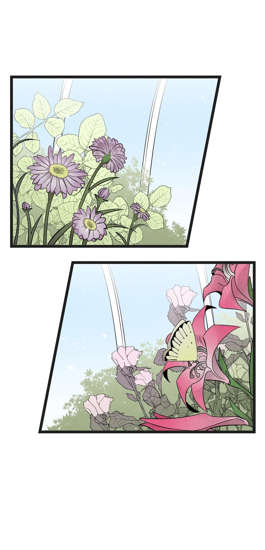 91 逛花园46