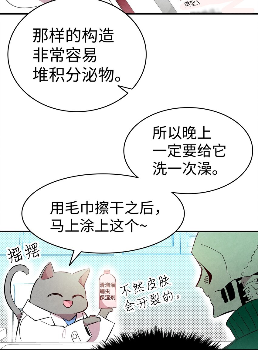 08 连衣裙55