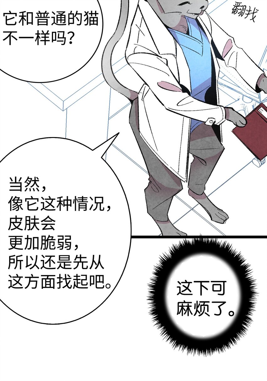 06 蝴蝶310