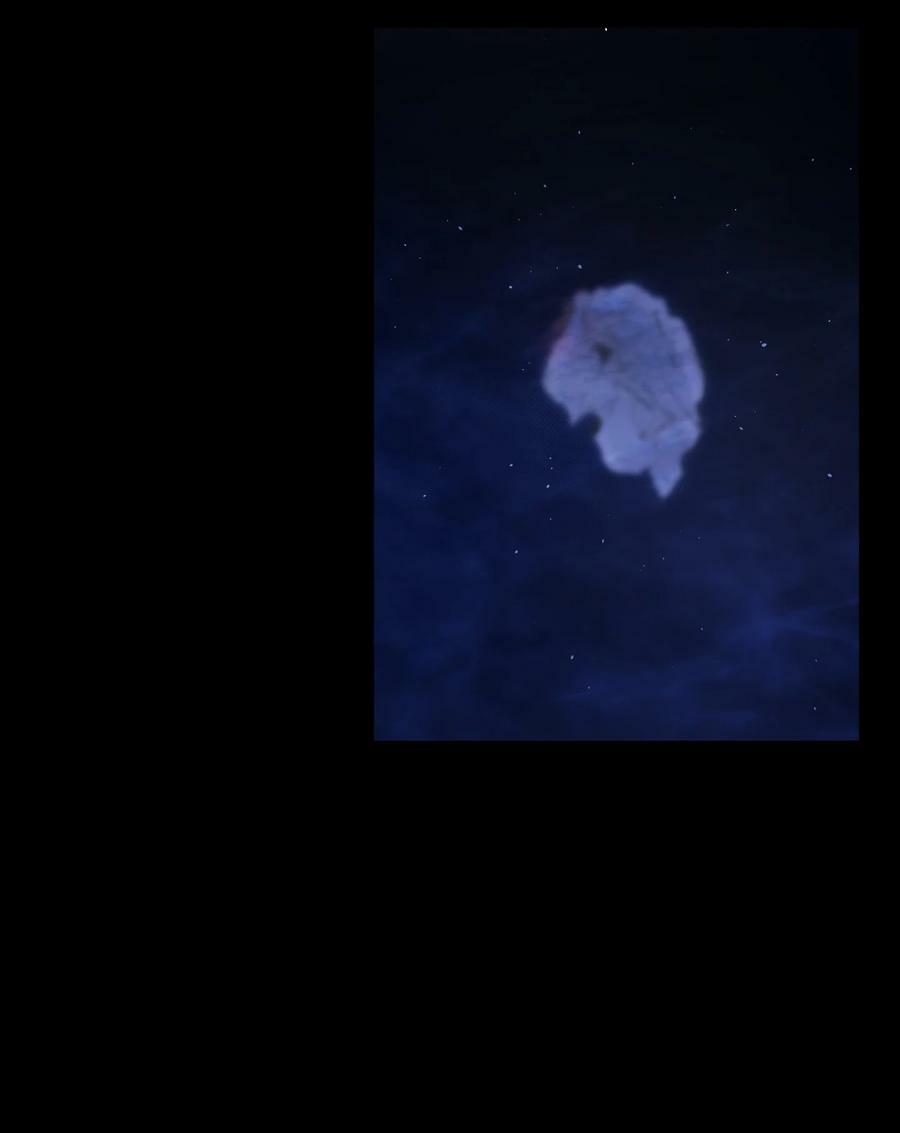 186 跳海解脱59