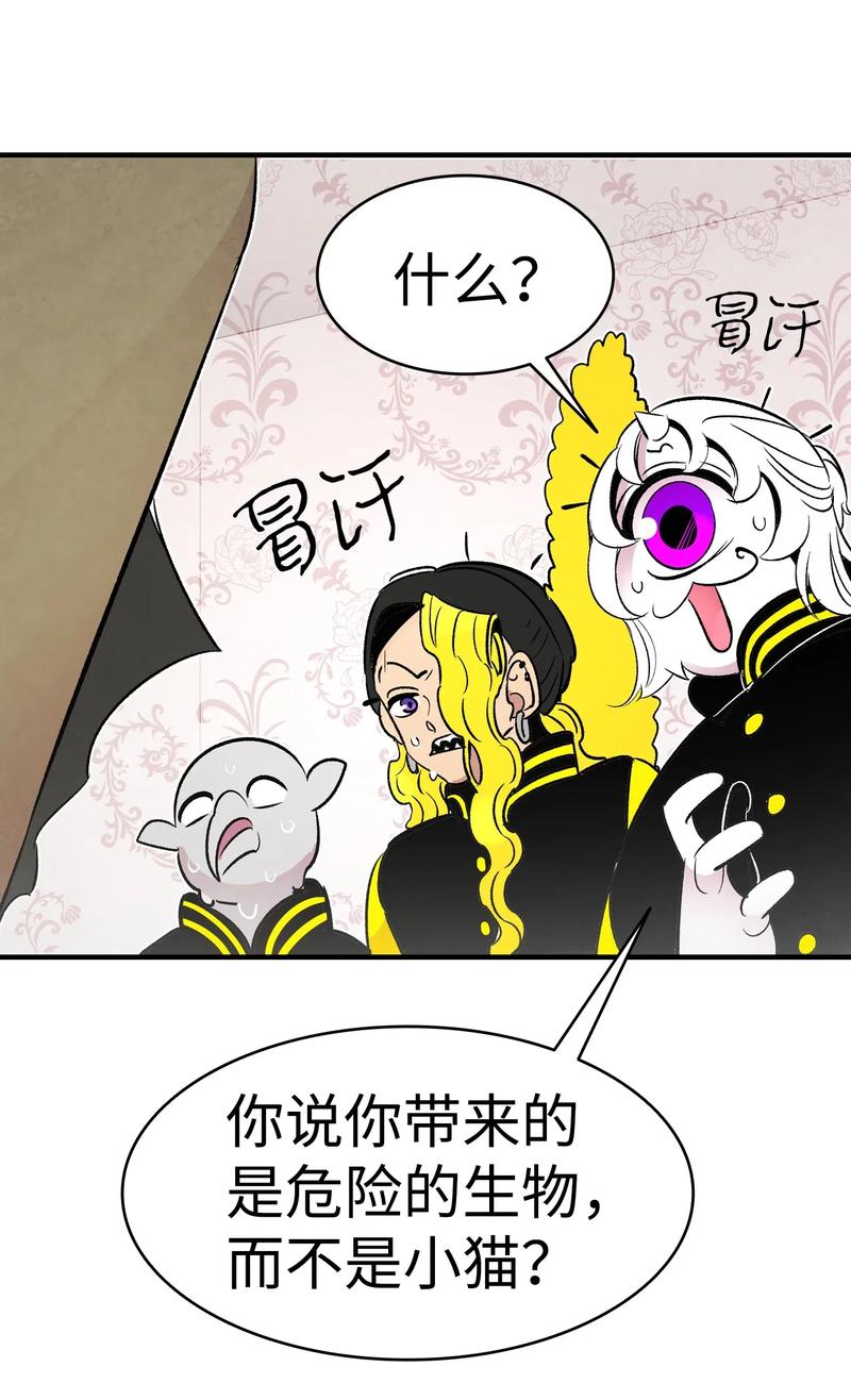 34 就是这个动物54