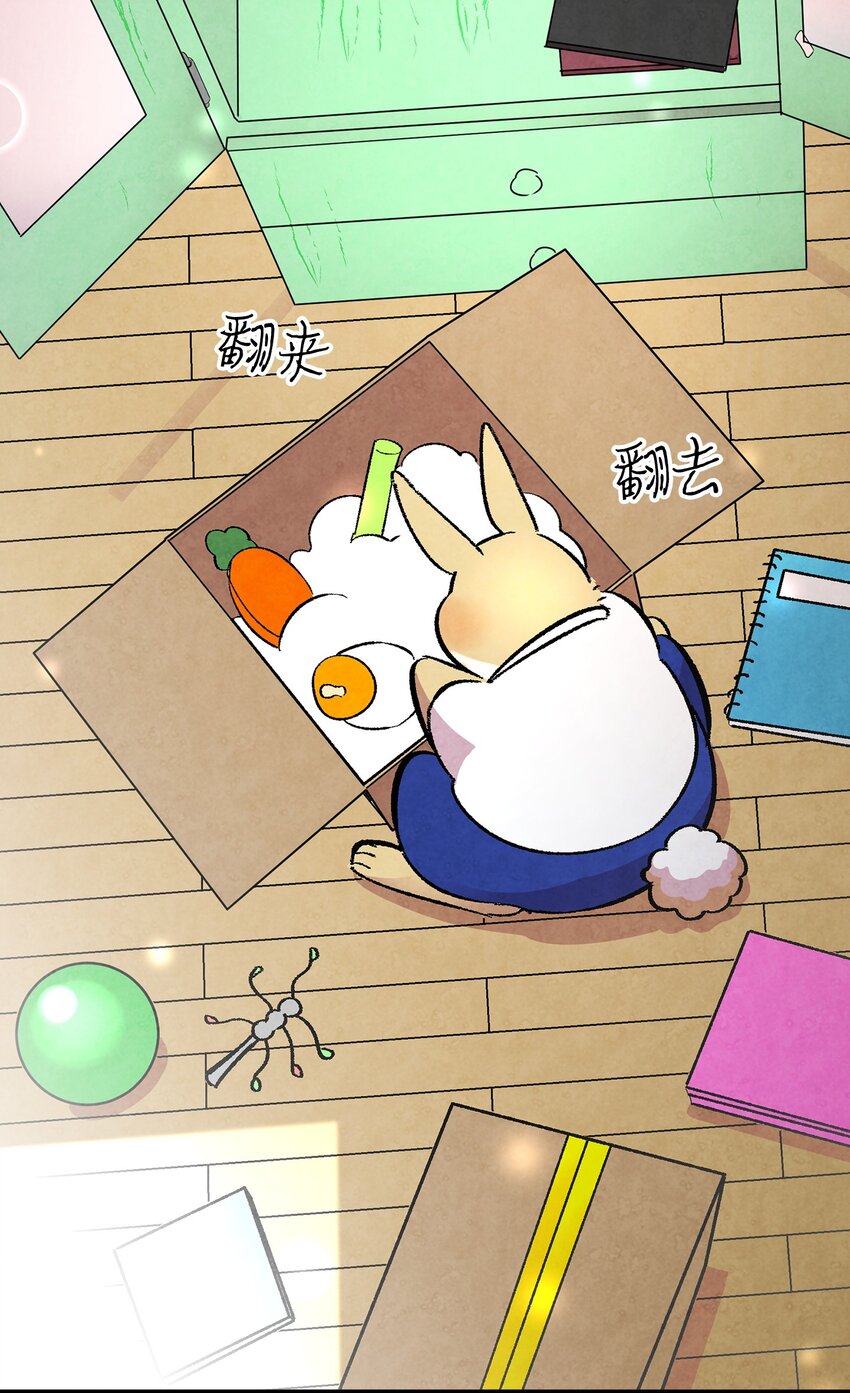 14 甲方乙方14