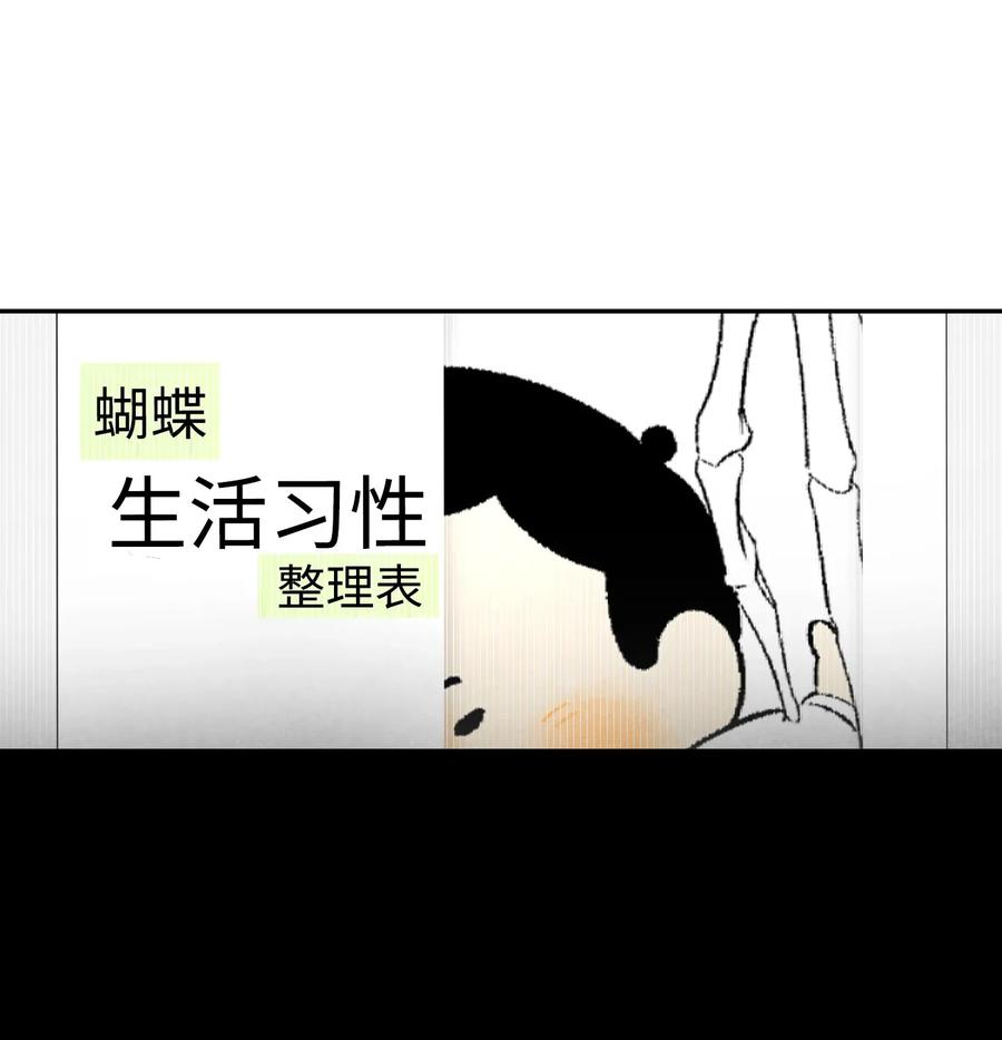 16 无毛猪49