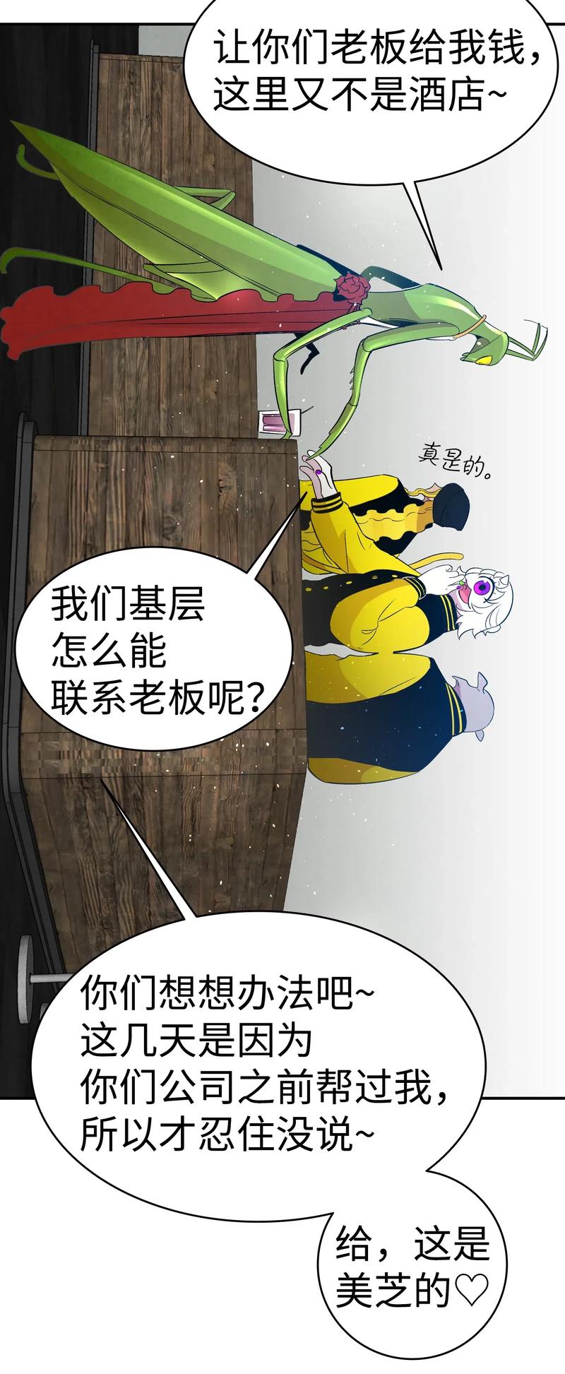 34 就是这个动物28