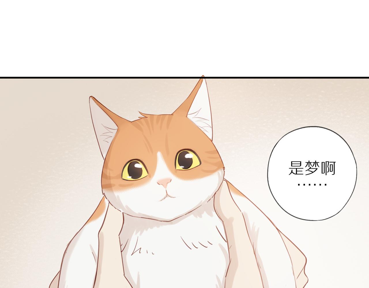 第8话 “狗粮”3