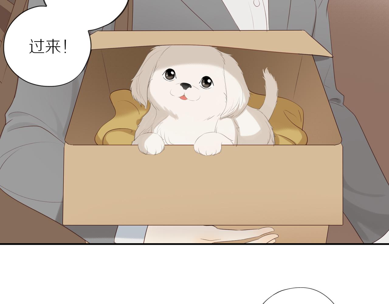 第17话 失眠9