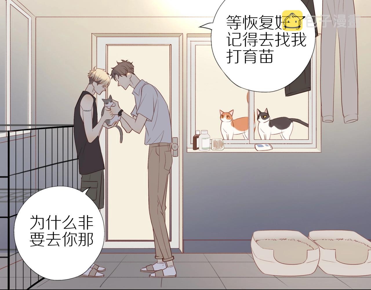 第6话 猫咪纹身49