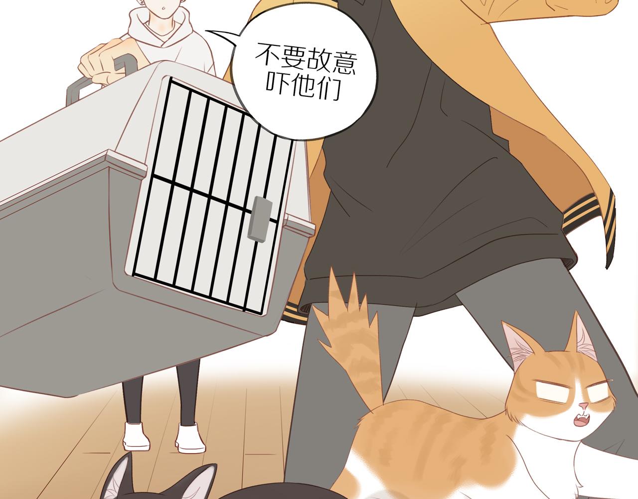 第46话 未来可期46