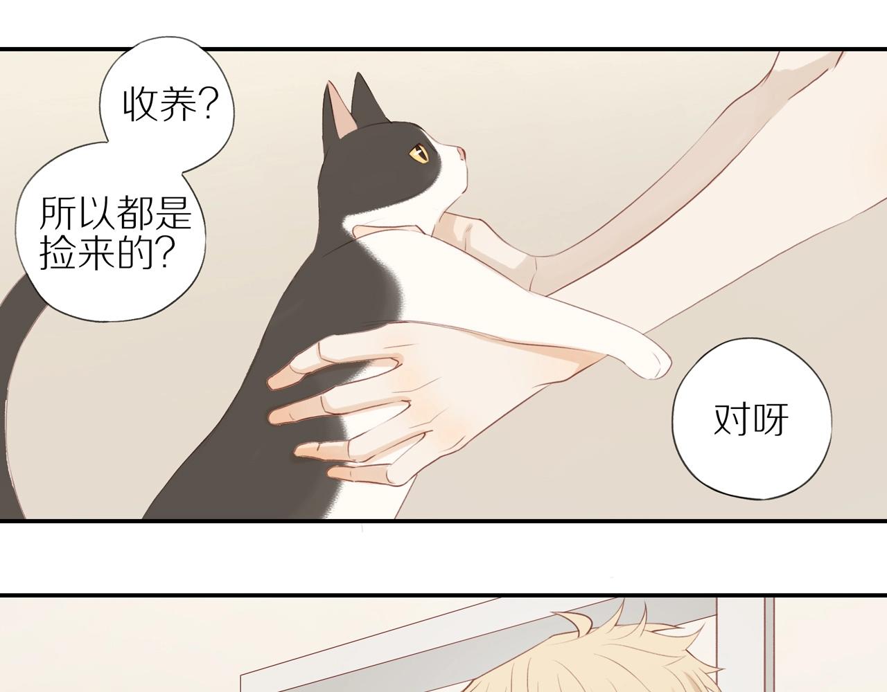第6话 猫咪纹身13