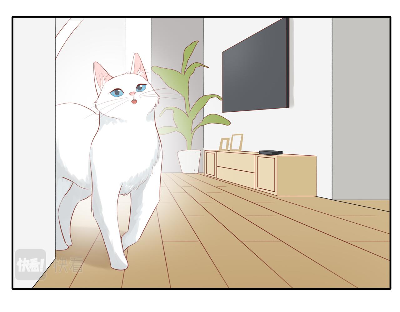 第38话 仿佛小时候39