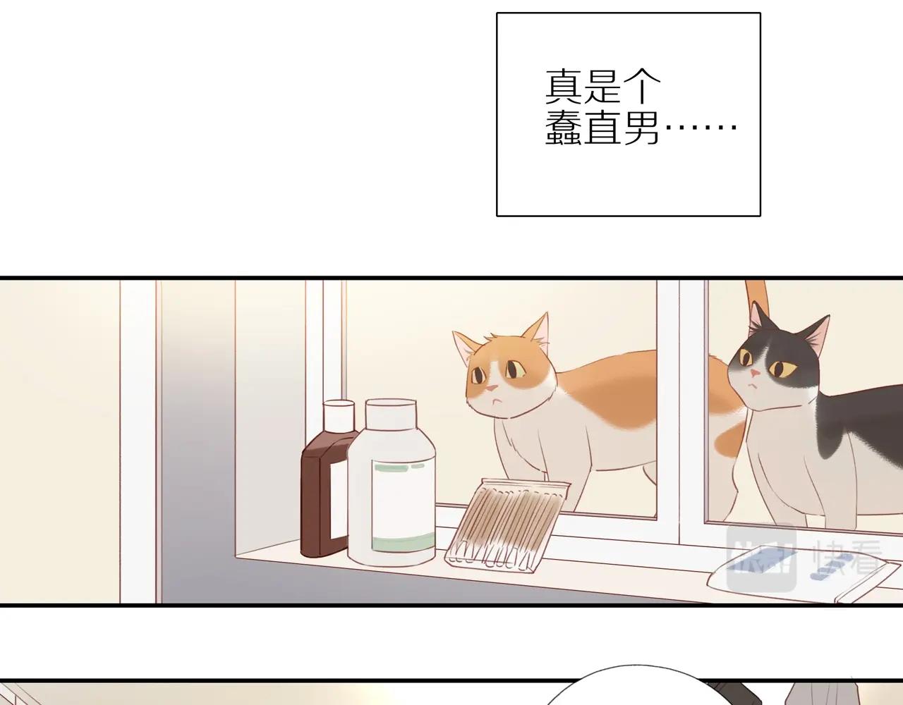 第6话 猫咪纹身48