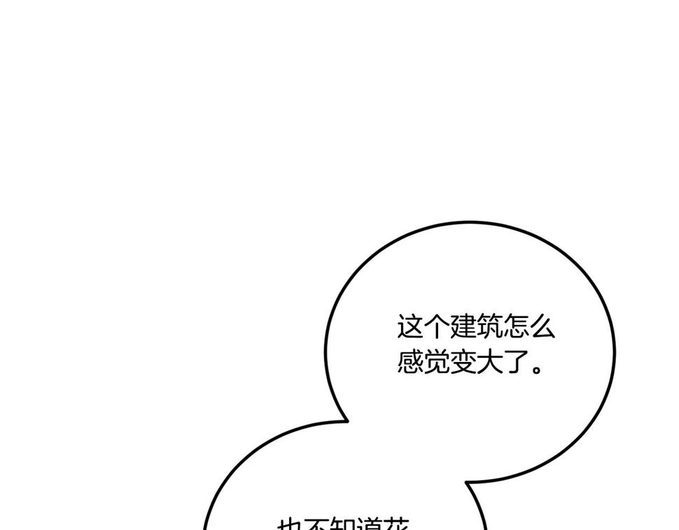 第78话 灵力测试3