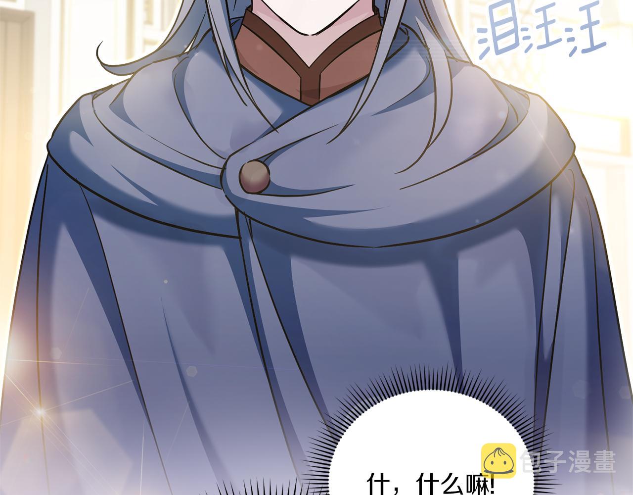 第73话 皇女生日在即31
