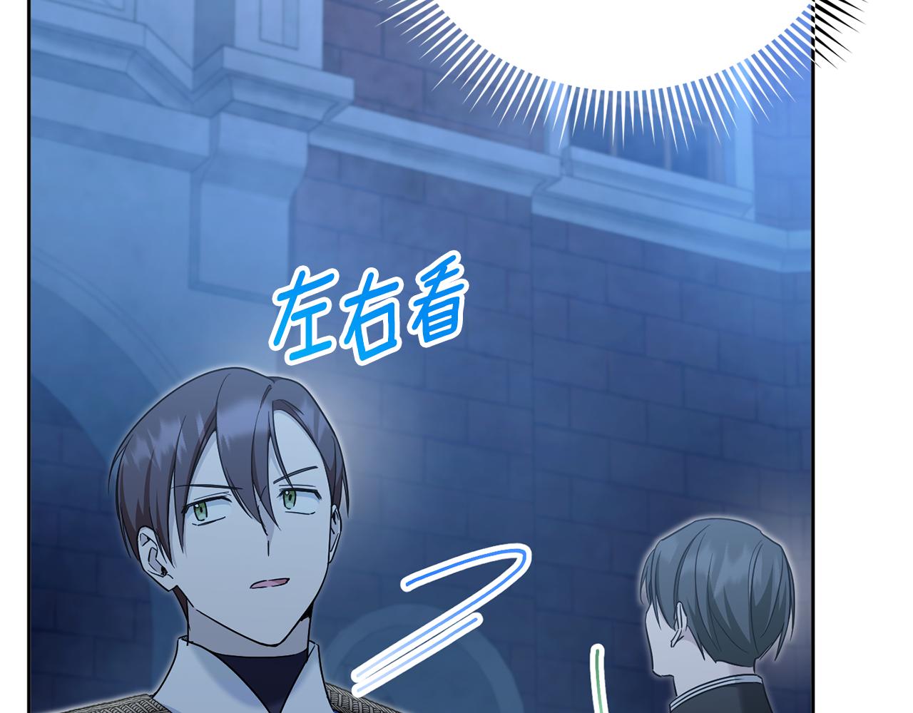 第73话 皇女生日在即132