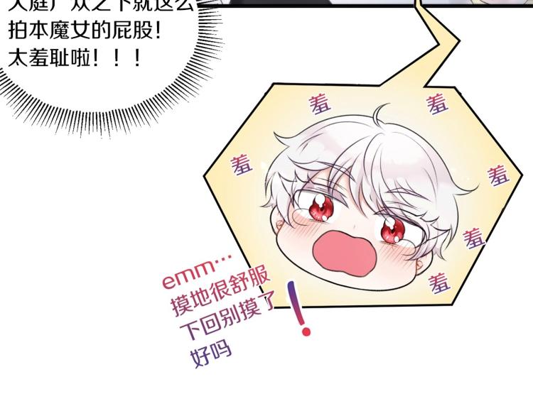 序章 幼崽大佬想要当皇帝？11