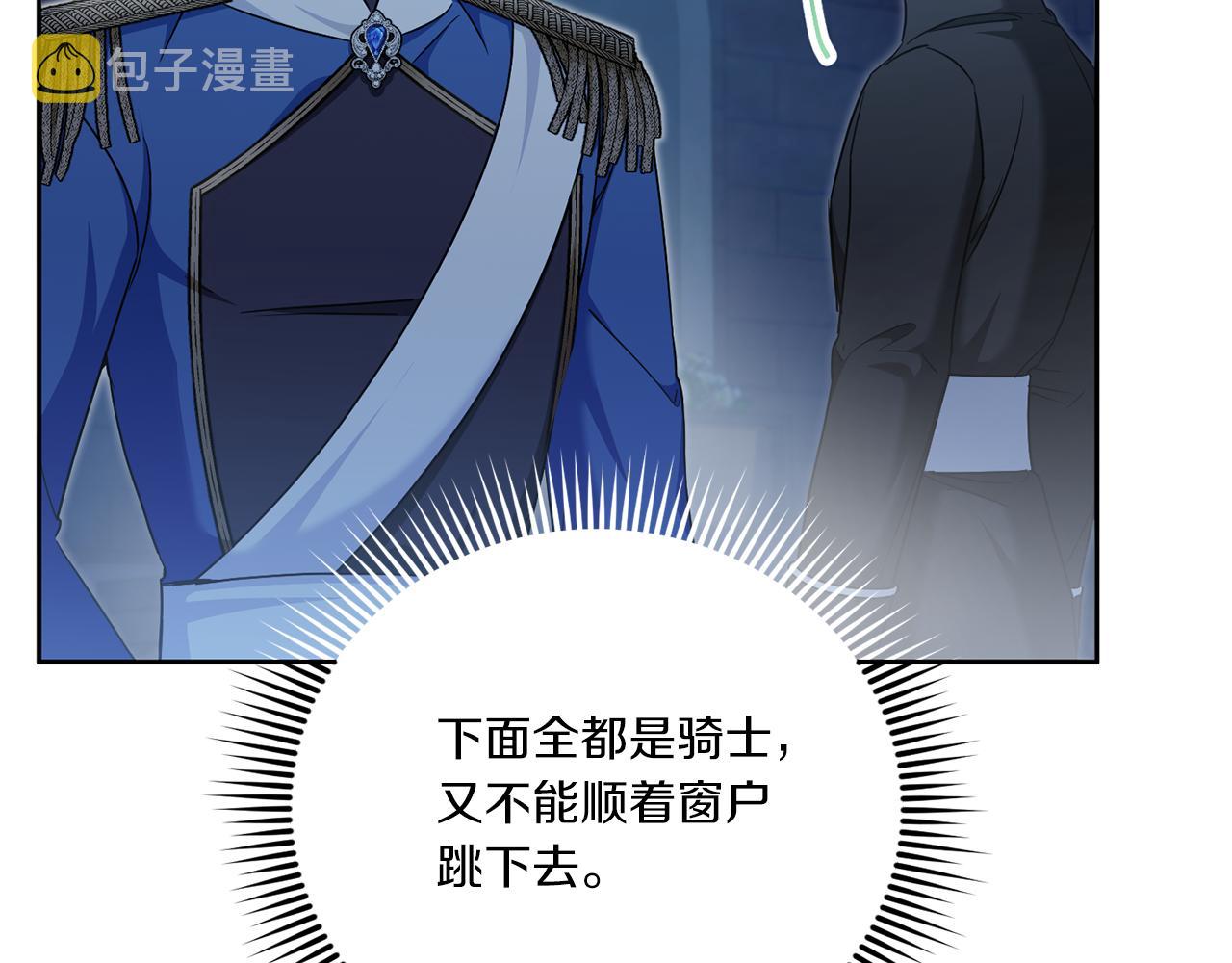 第73话 皇女生日在即133