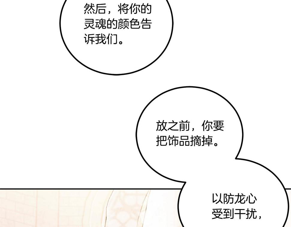 第79话 鉴定灵力22