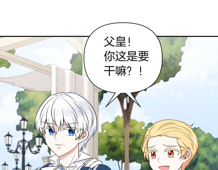 序章 幼崽大佬想要当皇帝？59