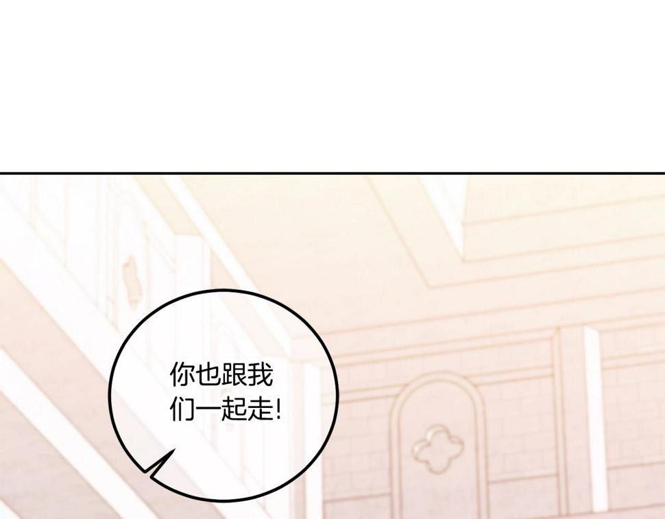 第79话 鉴定灵力163