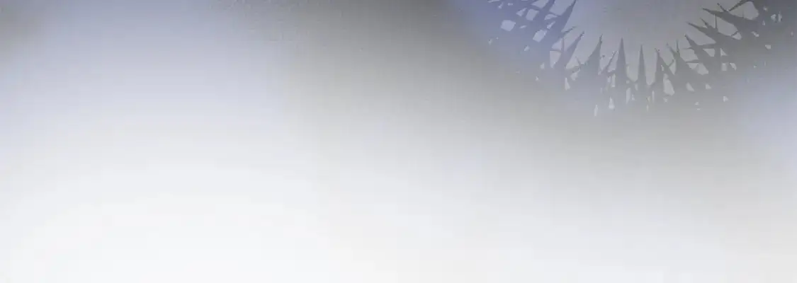 第100话 练级大成功142