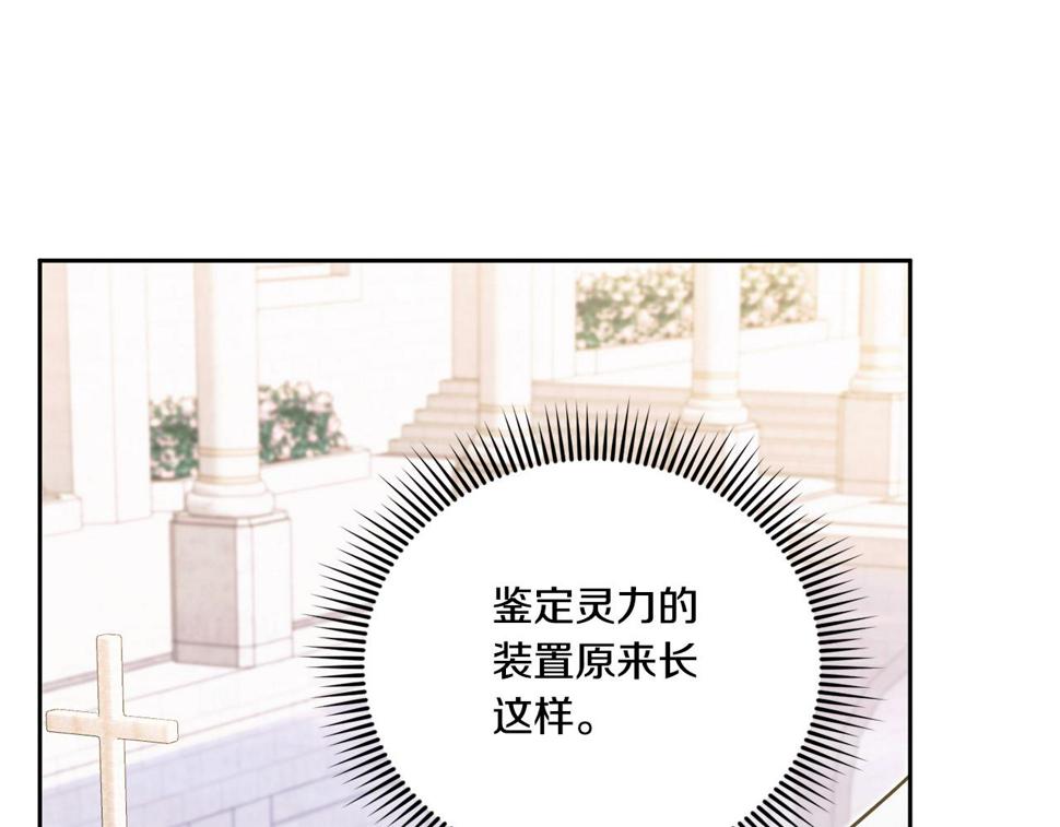 第79话 鉴定灵力17
