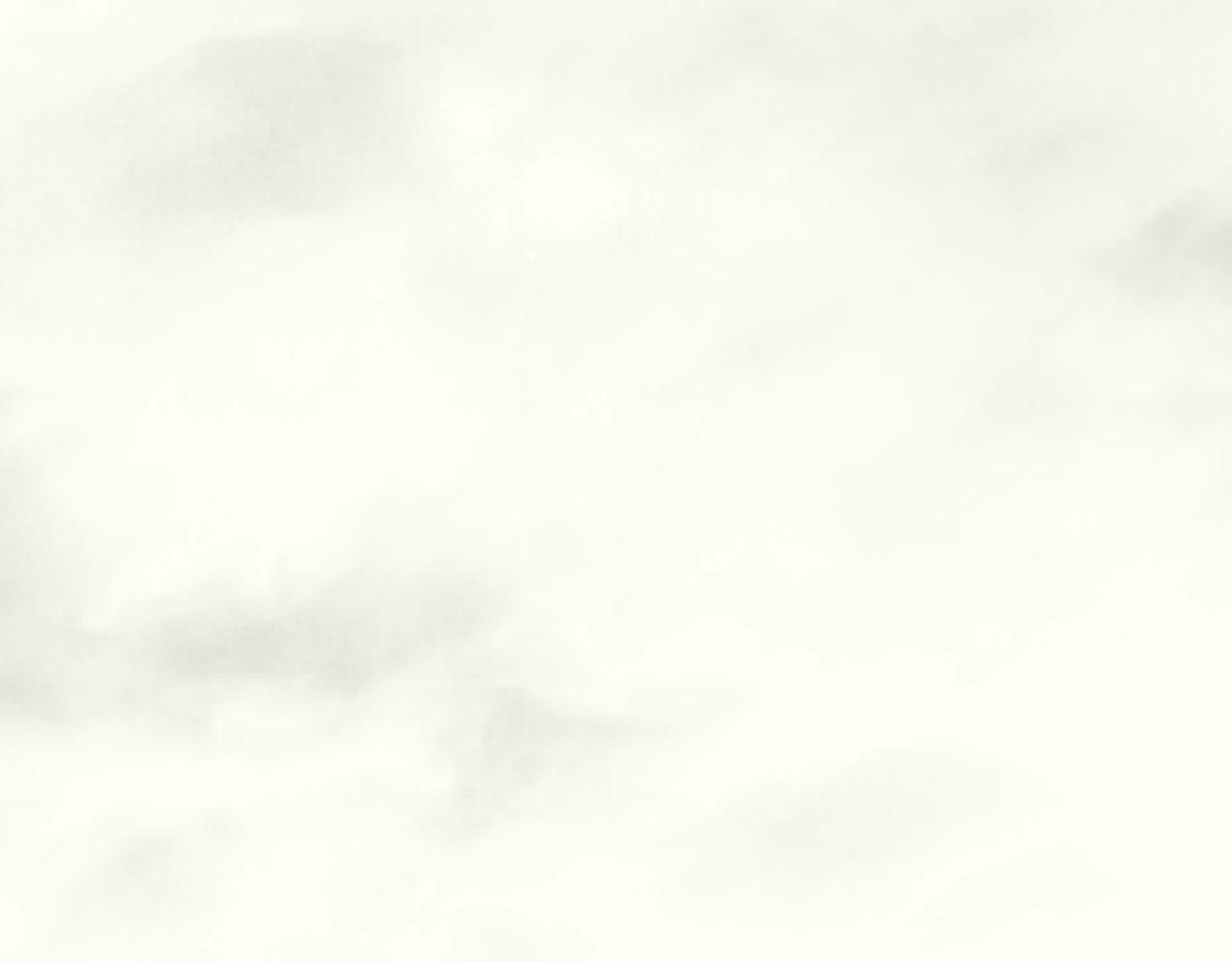 第78话 八阶铁甲牛48