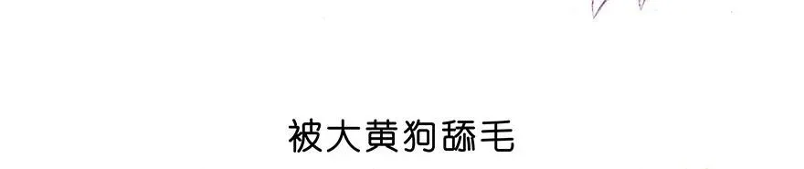 番外28 飞星喵九13