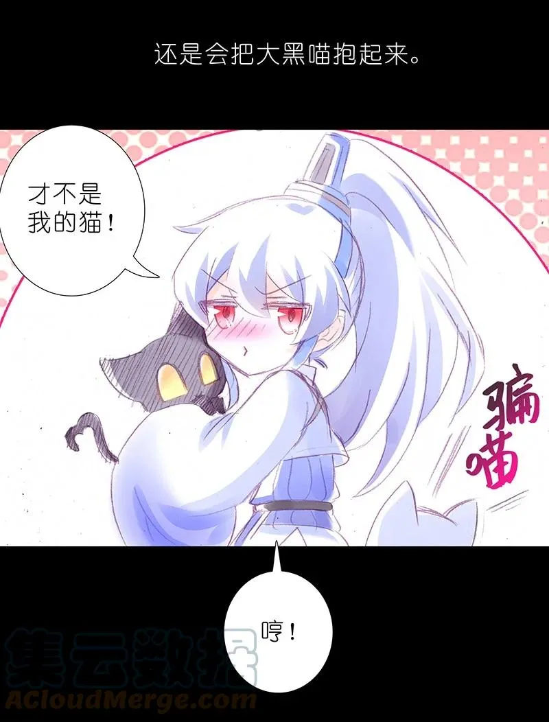 番外46 忽然想养猫坑411