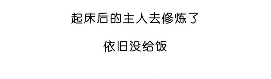 番外28 飞星喵九5