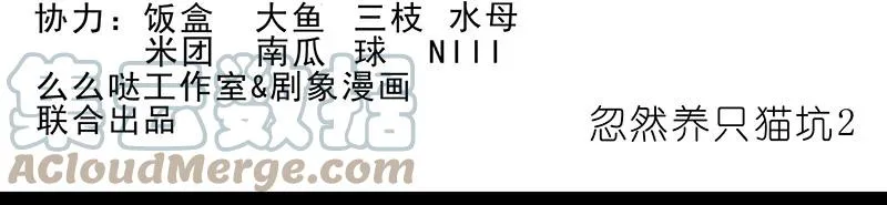 番外43 忽然想养猫坑110